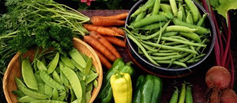 פיטוכימיקלים או למה אנחנו לא אוכלים יותר מיני צמחים ?