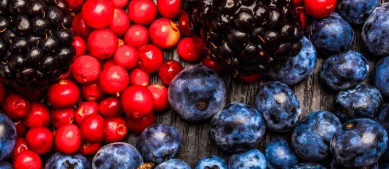 פוליפנולים ומחלות מעיים דלקתיות