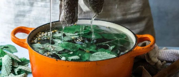 צמחי מרפא למחלות עור זיהומיות