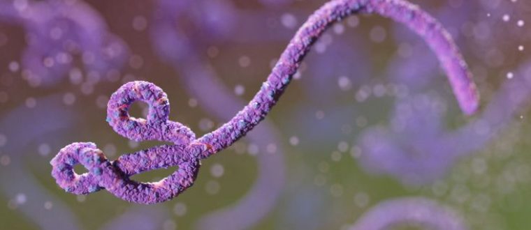 חיסון נגד וירוס האבולה