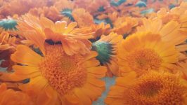 WhatsApp Image 2025-05-10 at 11.08.51