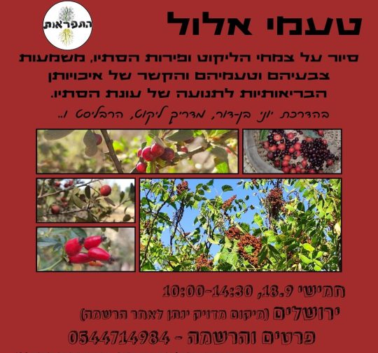 WhatsApp Image 2025-08-31 at 10.56.18