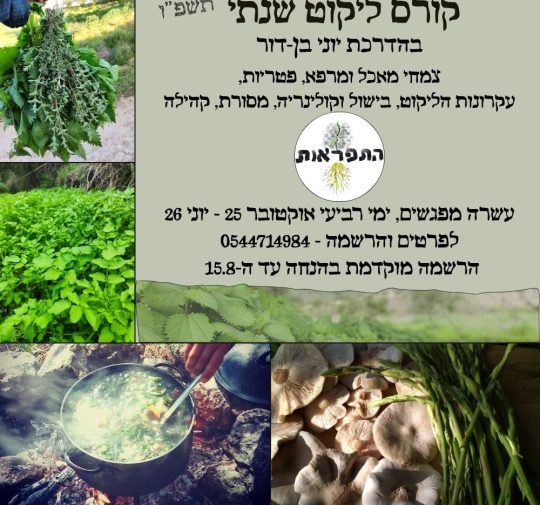 WhatsApp Image 2025-08-31 at 11.01.18 (1)