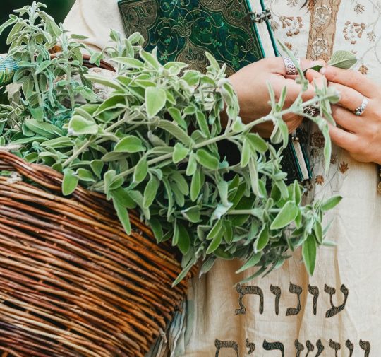 WhatsApp Image 2025-09-07 at 12.43.16