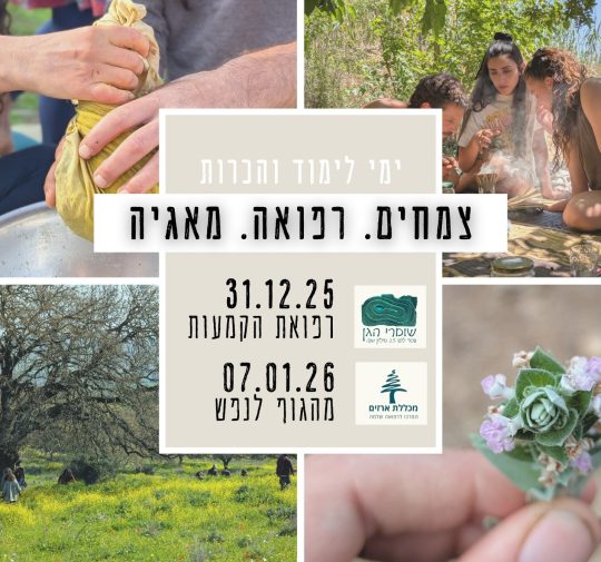 WhatsApp Image 2025-12-12 at 10.38.38