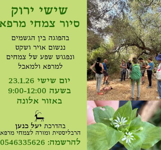 WhatsApp Image 2026-01-11 at 13.59.17