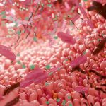 Your gut microbiome is linked to your fitness and biological age — New Scientist