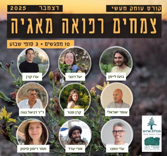 d408b4d5-e4e5-4a6c-8230-4c6bc492357c