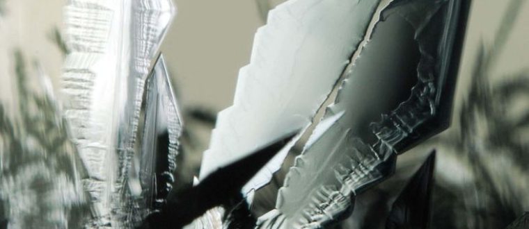 סרטן השד – Breast cancer