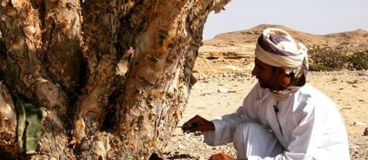 טיפול טבעי לדלקות חוזרות בדרכי השתן